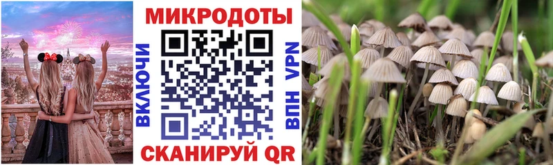 Псилоцибиновые грибы Magic Shrooms  ОМГ ОМГ сайт  Шенкурск 